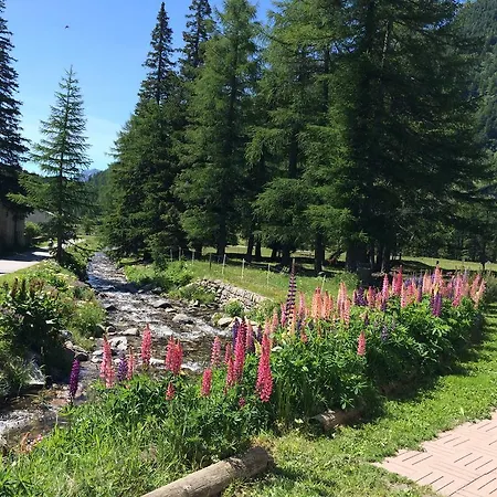 Rifugio Cavaglia Poschiavo